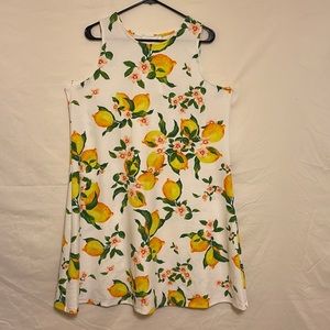 Cappagallo Dress medium